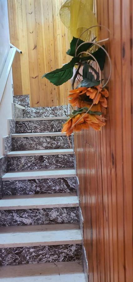 Casa Vacanza A Пунта Сека Екстериор снимка